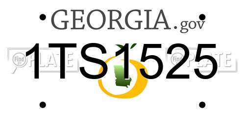 1TS1525 Georgia License Plate