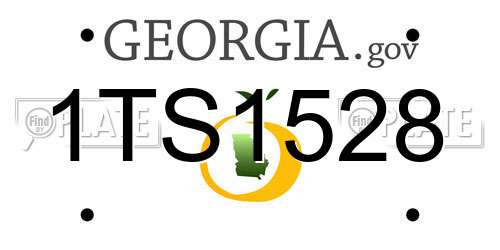 1TS1528 Georgia License Plate