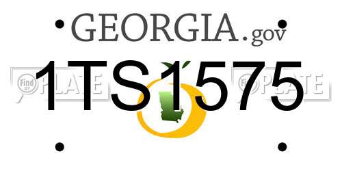 1TS1575 Georgia License Plate