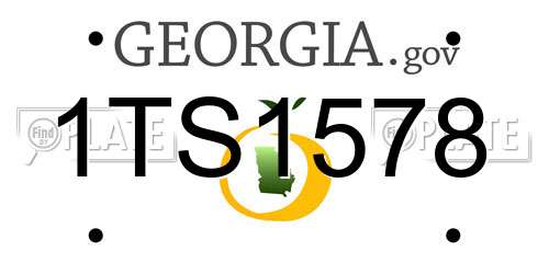 1TS1578 Georgia License Plate
