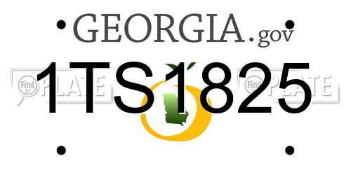 1TS1825 Georgia License Plate