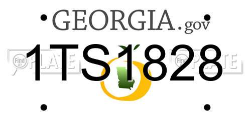1TS1828 Georgia License Plate