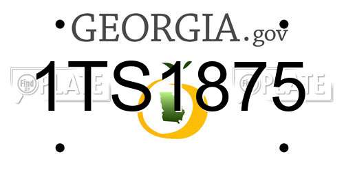 1TS1875 Georgia License Plate