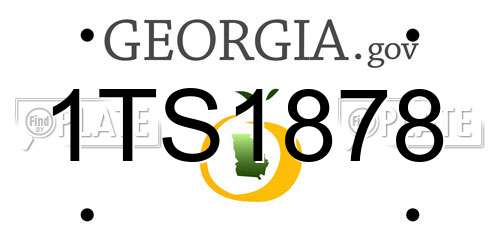 1TS1878 Georgia License Plate