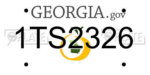1TS2326 Georgia License Plate