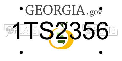 1TS2356 Georgia License Plate