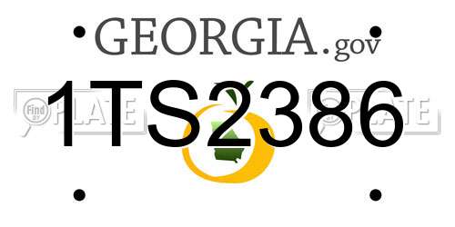 1TS2386 Georgia License Plate