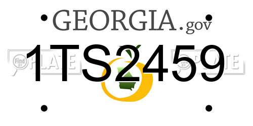 1TS2459 Georgia License Plate