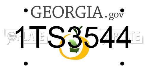 1TS3544 Georgia License Plate