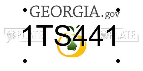 1TS441 Georgia License Plate