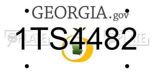 1TS4482 Georgia License Plate