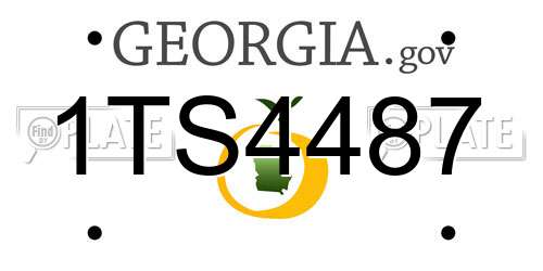1TS4487 Georgia License Plate