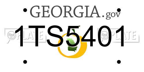 1TS5401 Georgia License Plate