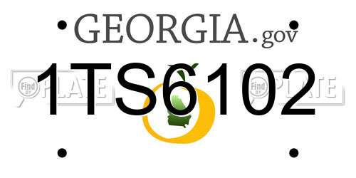 1TS6102 Georgia License Plate