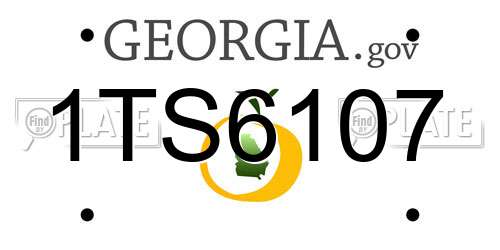 1TS6107 Georgia License Plate