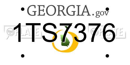 1TS7376 Georgia License Plate