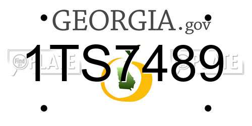 1TS7489 Georgia License Plate