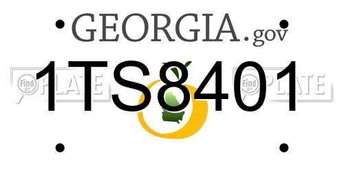 1TS8401 Georgia License Plate