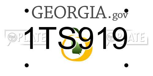 1TS919 Georgia License Plate