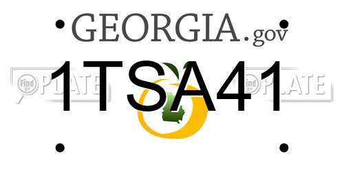 1TSA41 Georgia License Plate