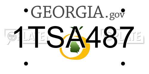 1TSA487 Georgia License Plate