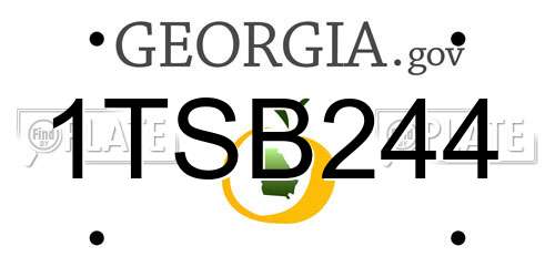 1TSB244 Georgia License Plate