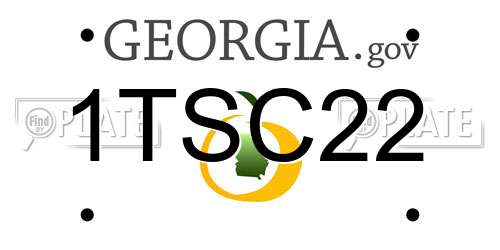 1TSC22 Georgia License Plate