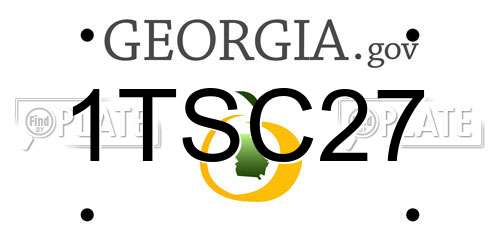 1TSC27 Georgia License Plate