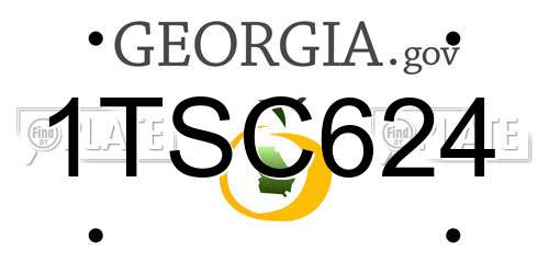 1TSC624 Georgia License Plate