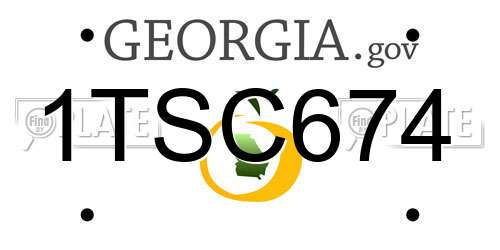 1TSC674 Georgia License Plate