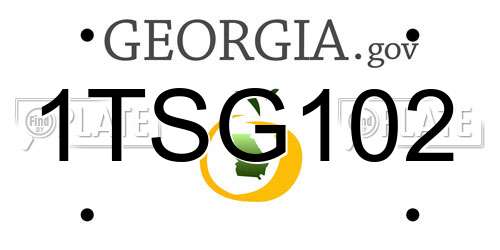 1TSG102 Georgia License Plate