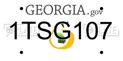 1TSG107 Georgia License Plate