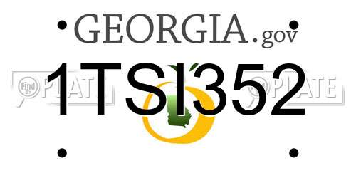1TSI352 Georgia License Plate