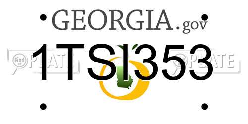 1TSI353 Georgia License Plate
