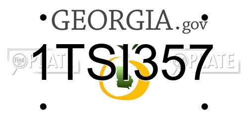 1TSI357 Georgia License Plate