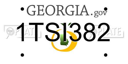 1TSI382 Georgia License Plate