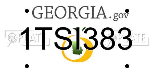 1TSI383 Georgia License Plate