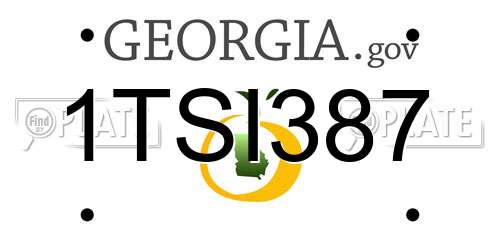 1TSI387 Georgia License Plate
