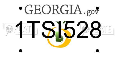 1TSI528 Georgia License Plate