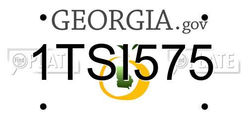 1TSI575 Georgia License Plate