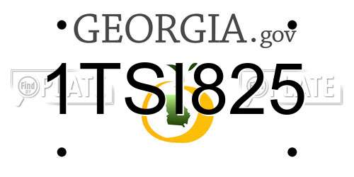 1TSI825 Georgia License Plate