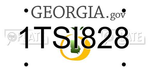 1TSI828 Georgia License Plate
