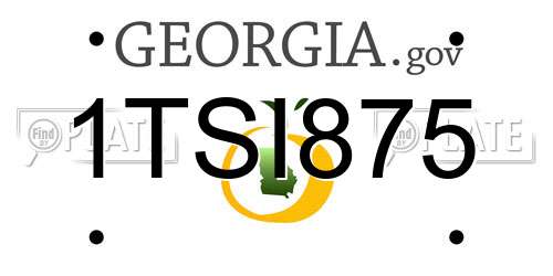 1TSI875 Georgia License Plate