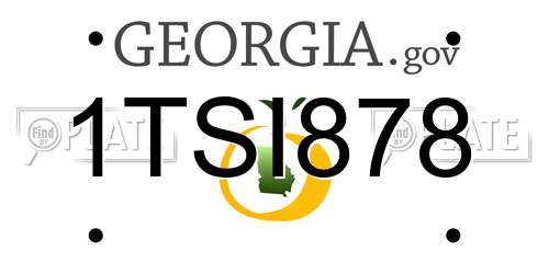 1TSI878 Georgia License Plate