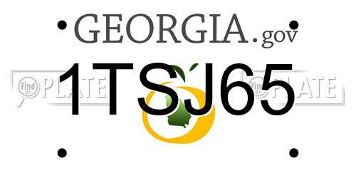1TSJ65 Georgia License Plate