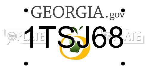 1TSJ68 Georgia License Plate