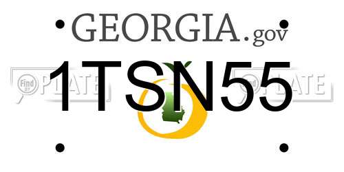 1TSN55 Georgia License Plate