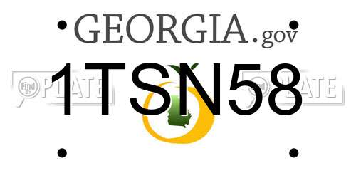 1TSN58 Georgia License Plate