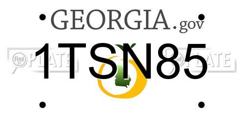 1TSN85 Georgia License Plate