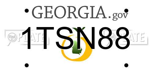 1TSN88 Georgia License Plate